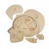 Hlava anatomie - edukativní dřevěné puzzle - ČESKÁ VERZE