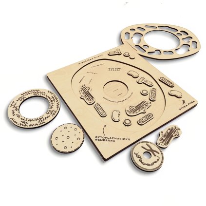 rybie bunky sk 02 sharp