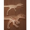 Dinosaurus - anatómia tela - edukatívne puzzle - SLOVENSKÁ VERZIA