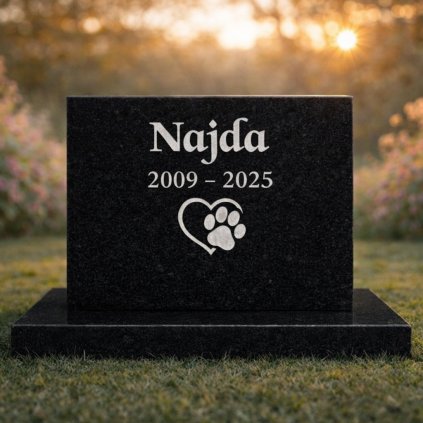 Najda 2