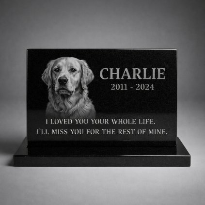 image 2026 03 14T101426.216