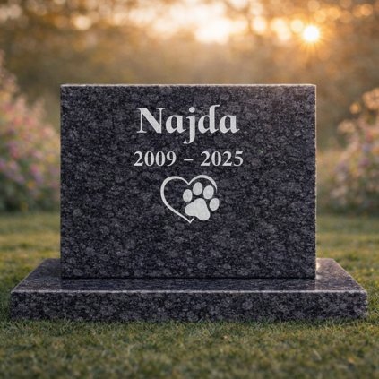 najda 1