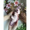 Axolotl - návod na háčkování pdf