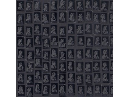 21316 mindthegap emperors anthracite tapeta