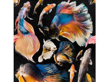 21910 mindthegap goldfish anthracite tapeta