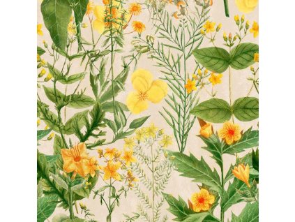 22342 mindthegap mimulus tapeta