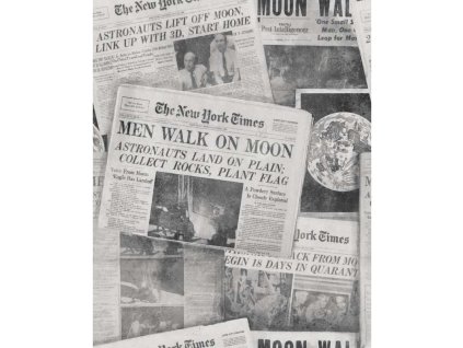 22726 mindthegap moonwalker neutral tapeta