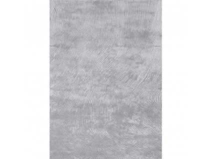 CARPET DECOR Canyon Silver - koberec