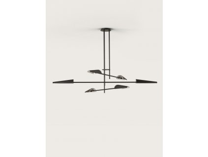 AROMAS DEL CAMPO Bion C1306/6/NEG