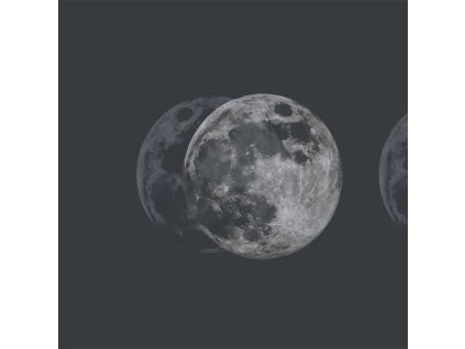 55620 2 vladila celestial goddess tapeta