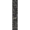 22207 1 mindthegap zooarchaeology anthracite tapeta