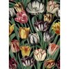 22810 mindthegap tulipa tapeta