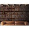 22897 3 mindthegap book shelves tapeta