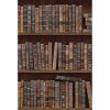 22897 mindthegap book shelves tapeta