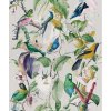 23137 mindthegap tropical birds tapeta