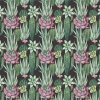 54735 2 vladila succulents tapeta