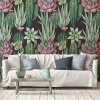 54735 vladila succulents tapeta