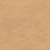 55605 2 vladila camel leather tapeta