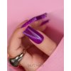 Gel lak na nehty Cat Eye Effect E08 Saute nails, 8 ml 02
