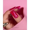 Gel lak na nehty Cat Eye Effect E10 Saute nails, 8 ml 02