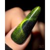 Gel lak na nehty Cat Eye Effect E02 Saute nails, 8 ml 02