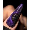 Gel lak na nehty Cat Eye Effect E03 Saute nails, 8 ml 02