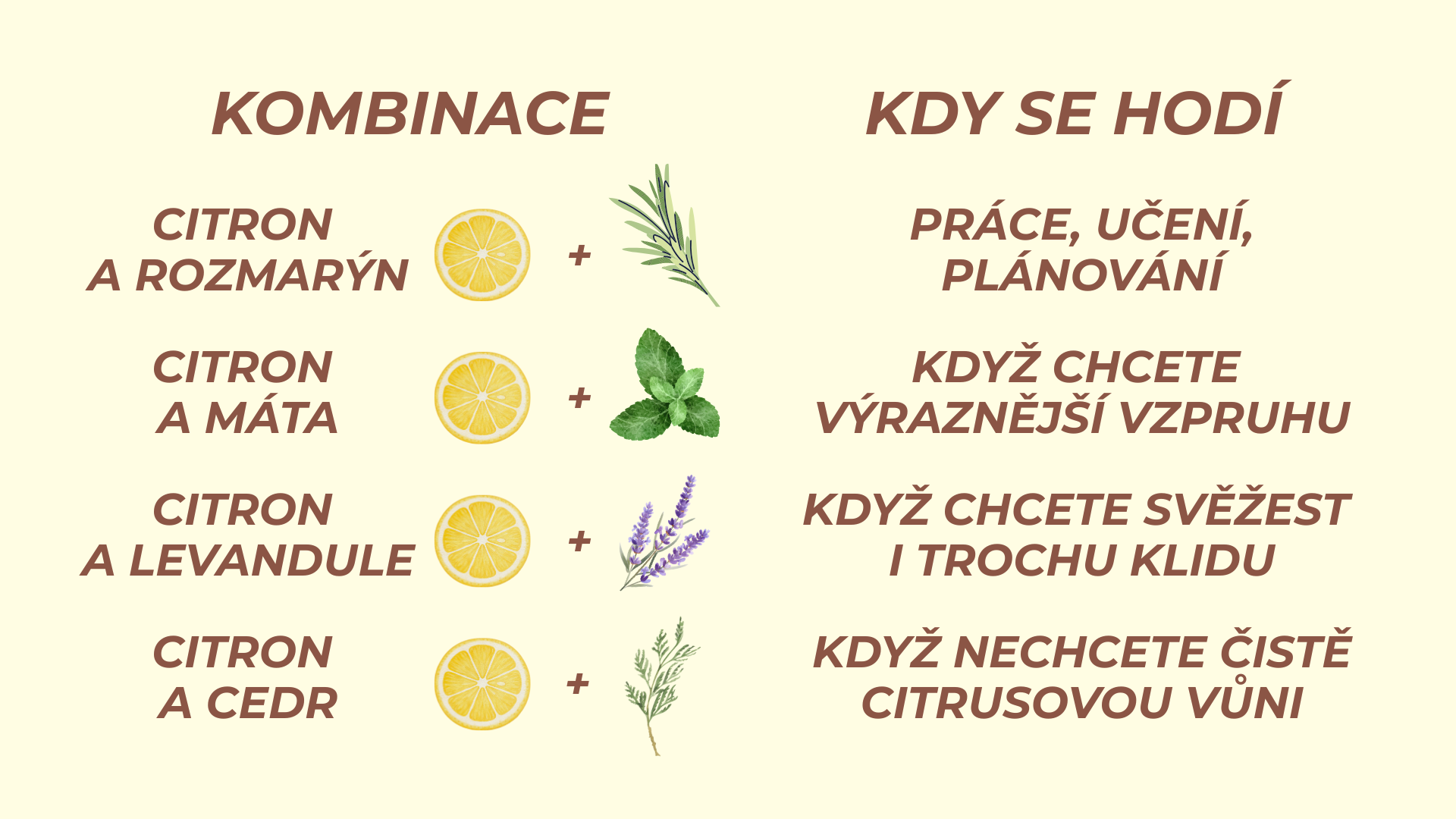 infografika02_1