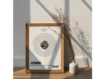 lemez kép fotóval mockup