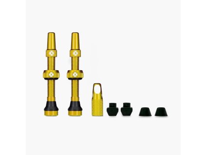 web gold tubeless presta valve pair 2021 850x850 crop center