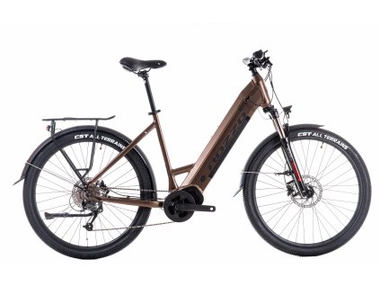 Městské elektrokolo ROZZO URBAN 780 720 Wh bronz 2025
