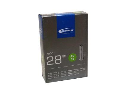 Schwalbe AV15 4