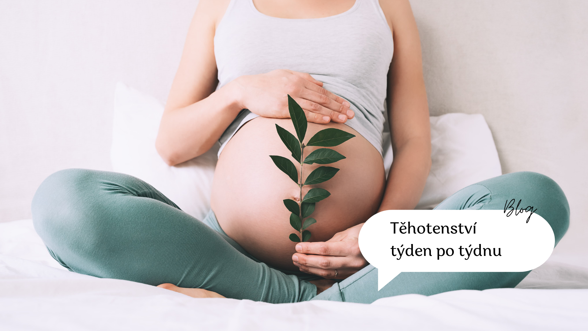 Těhotenství týden po týdnu: 1. měsíc ve znamení početí