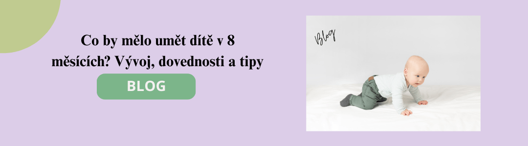Bb_Co_by_melo_umet_dite_v_8_mesicich__Vyvoj_dovednosti_a_tipy_.png