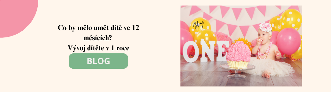 Bb_Co_by_melo_umet_dite_ve_12_mesicich__Vyvoj_ditete_v_1_roce_.png