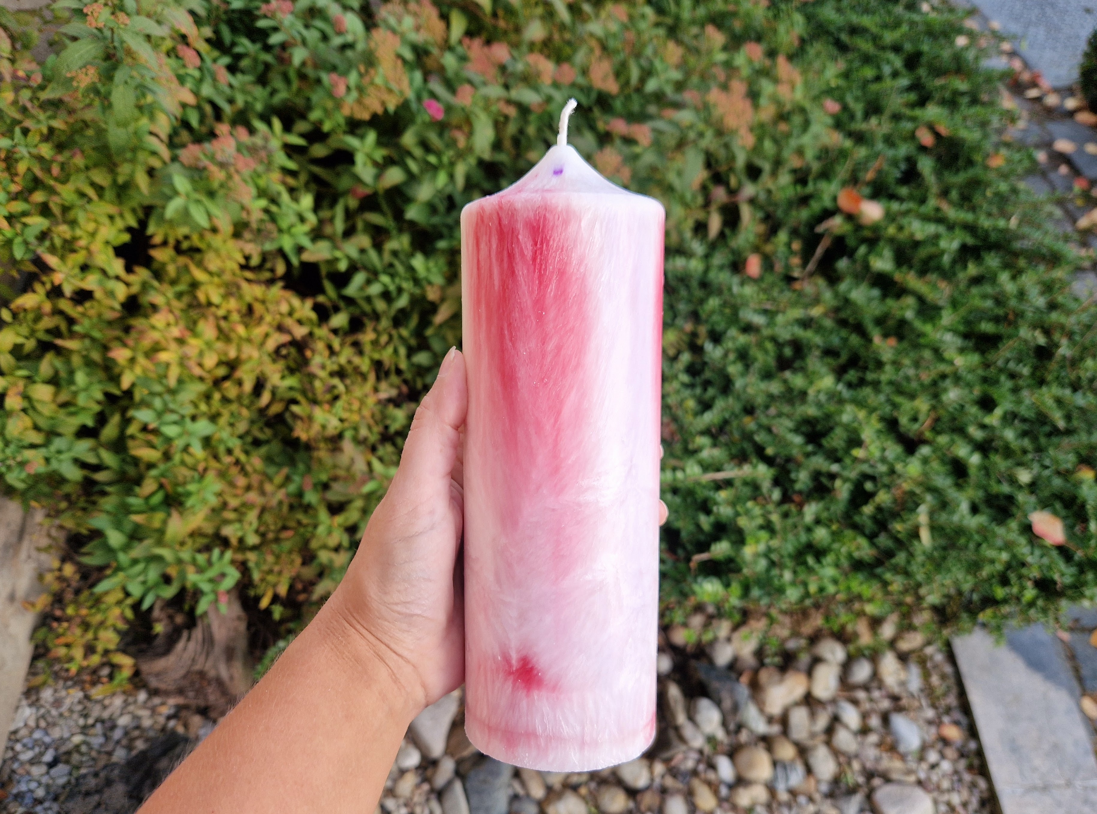 palmova-svice-sila-rodu