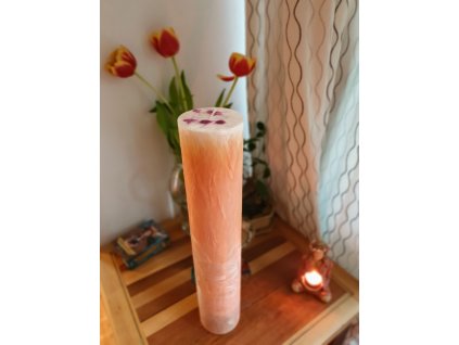 mega palmova svicka