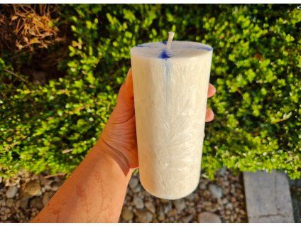 odpusteni palmove svicky