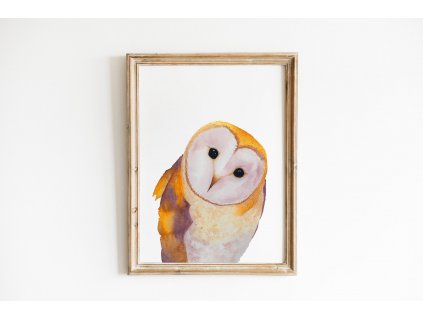 plakaty vyska obraz sova