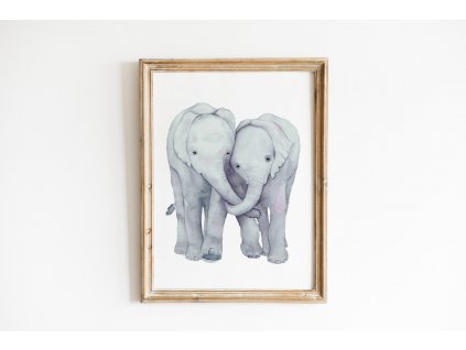 plakaty vyska obraz sloni tuleni