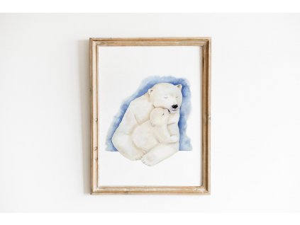 plakaty vyska obraz medvedi