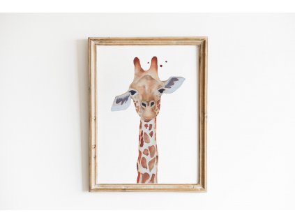 plakaty vyska obraz zirafa
