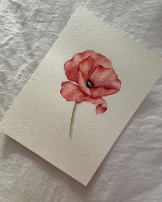 Kdo by to byl řekl, že mě z mého akvarelového medvědího spánku vytáhnou Vánoce! Obě moje babičky milují květiny a já...