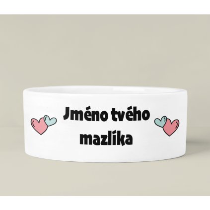 front view mockup of a circular pet bowl m30090