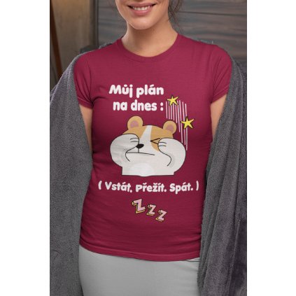 Tričko na spaní Můj plán