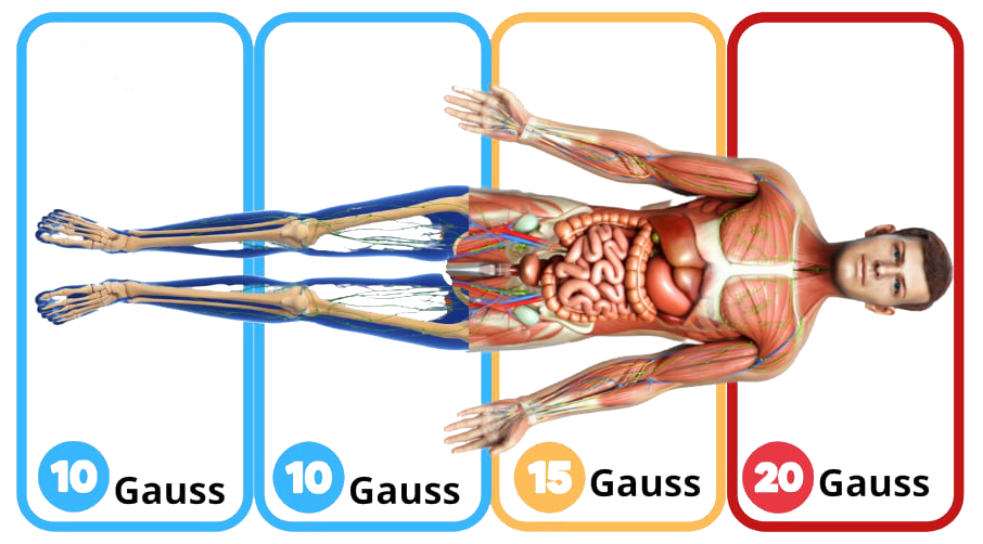 Holistic-Vibe-2