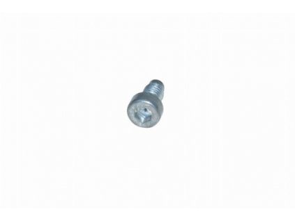 Iveco Daily Rear door hinge screw 13221121