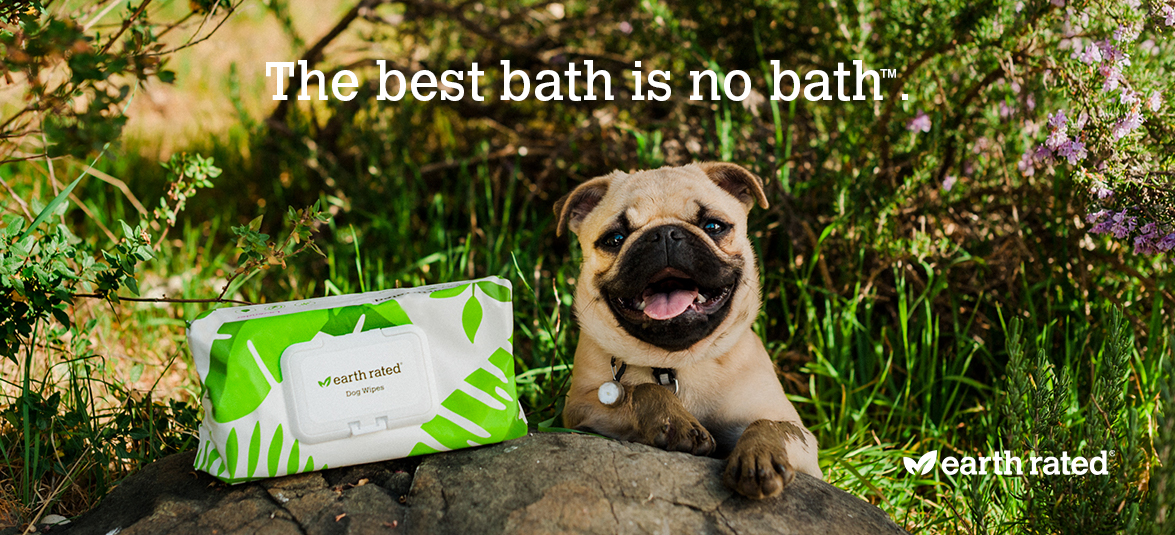 The-best-bath_is_no_bath_Banner