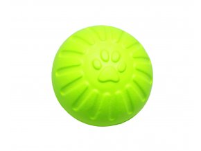 micek foam 1
