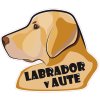 labrador biely 5x 1