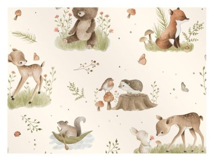 Balící papír D073 100x70 LUX 5811788